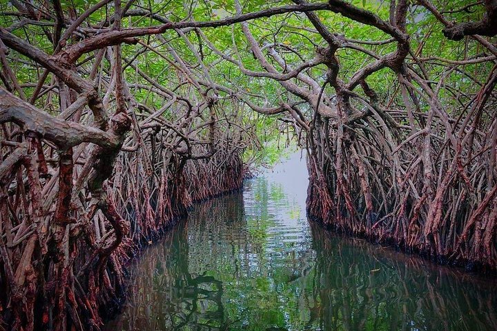 Madu River